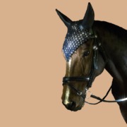 Leder-Fliegenhaube-mit-und-ohne-Swarovski-Strass-Steinen2 Leder-Fliegenhaube-mit-und-ohne-Swarovski-Strass-Steinen, WOW-Zubehör für Pferde
